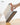 Fruit Knife Chopping Board Set from Jieshang