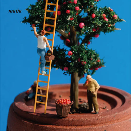 CIIREALS  Icing Ceramic Planter from CIIREALS