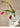 CLICK Glacier Glass Vase Large Space Decor from CLICK
