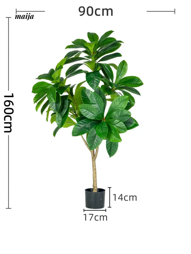 Artificial Loquat Plant from maija
