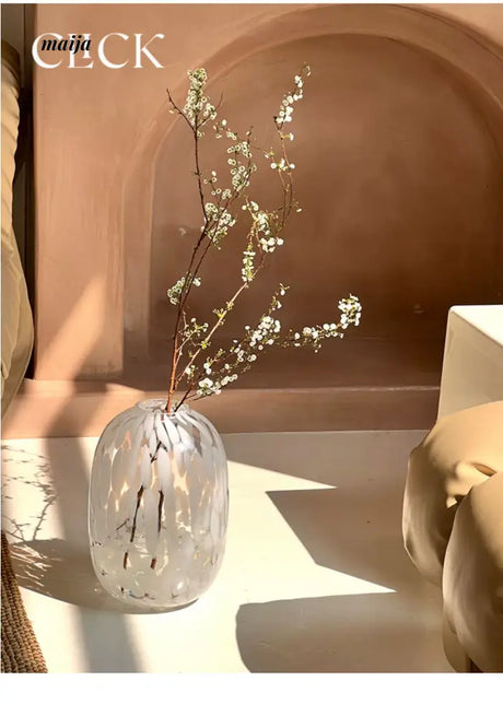 CLICK Big Belly Glass Vase for Hydroponic Flowers from CLICK