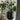 Aura Minimalistic Flowerpot from Nicaijia