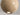Cocoon Hanging Ceiling Light from dengye