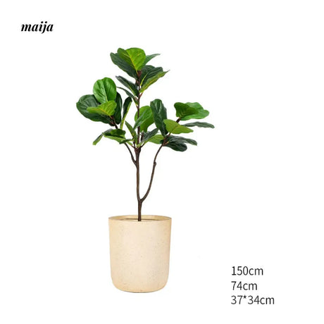 Artificial Fig Plant from Royal Forest
