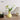 NICEMOON Theo High-Quality Ceramic Ornaments from NICEMOON