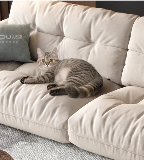 DIPU Marianna Internet Celebrity Cream Sofa from DIPU