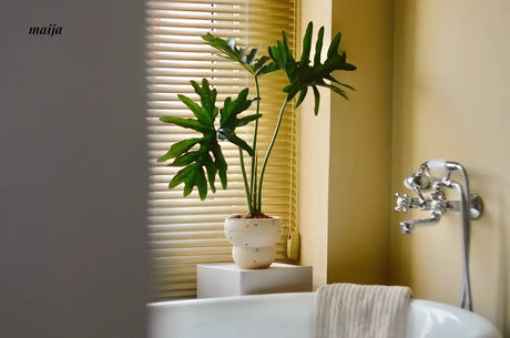 CIIREALS Fish Eye Candy Ceramic Planter from CIIREALS
