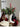 CLICK Green Pine Branch Christmas Decor Set from CLICK