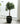 Aura Minimalistic Flowerpot from Nicaijia