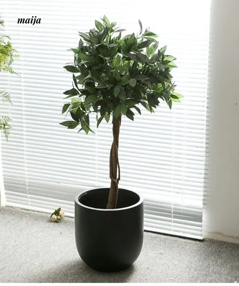 Aura Minimalistic Flowerpot from Nicaijia