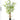 Artificial Super Tall Areca Palm Plant from maija