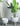 Josie Bloom Floor Flowerpot from maija