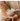 MUMO Leo White Porcelain Rice Bowl Set from MUMO