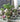 Kadie Botanical Nordic Ceramic Basin from maija