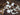 MUMO Alice Walnut Christmas Ornaments from MUMO