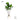 Artificial Fig Plant from Royal Forest