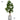 Artificial Rubber Plant from maija