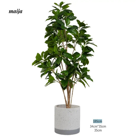 Artificial Rubber Plant from maija