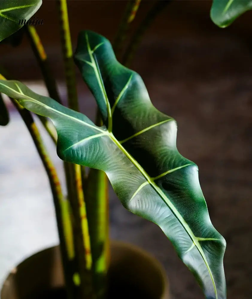 Artificial Salian Calla Lily Plant from maija