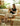 19 DREAM SPACE Scandinavian Coffee Table from 19 DREAM SPACE