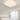 GVG Stone Full Spectrum Ceiling Lamp from GVG