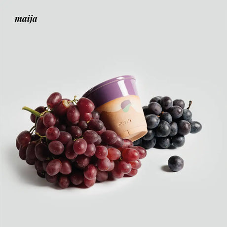 CIIREALS Eggplant Ceramic Planter from maija