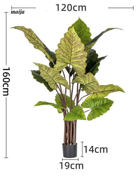Artificial Rainbow Taro Plant from maija