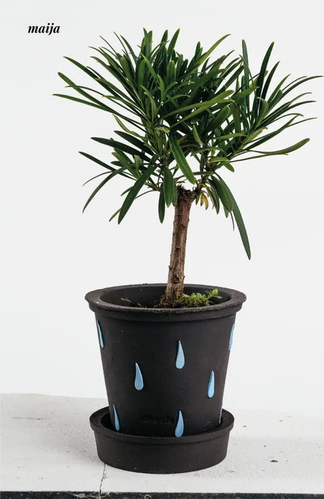 CIIREALS Raindrop Ceramic Planter from maija