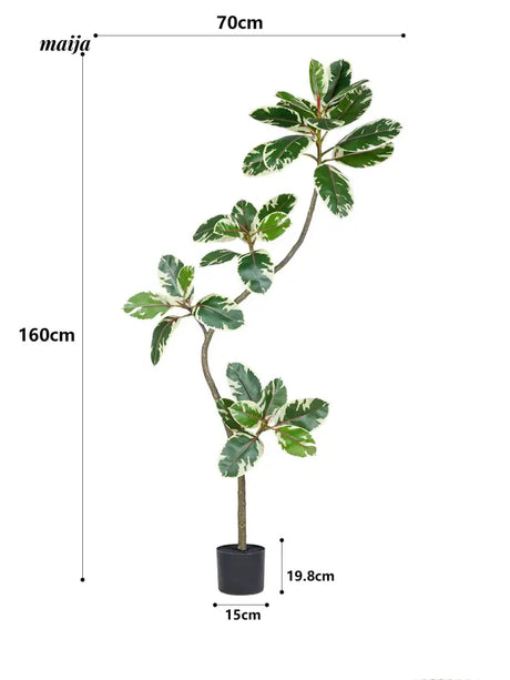 Artificial Golden Banyan Rubber Plant from maija