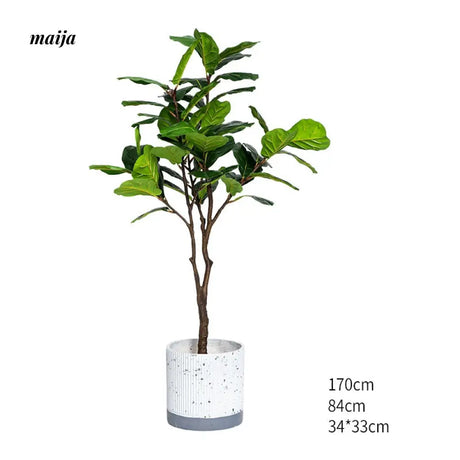 Artificial Fig Plant from Royal Forest