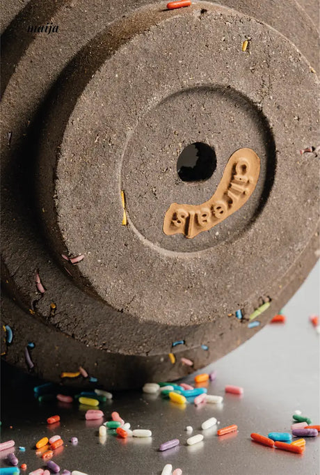 CIIREALS Sprinkle Cake Ceramic Planter from maija