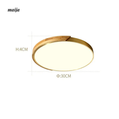 ALISA Clara Copper Scandinavian Ceiling Light from ALISA