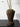 LILY WHITE Retro Plant Lamp Floor Decoration from LILY WHITE
