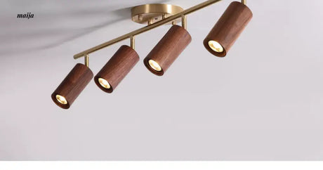 CH LIGHTING Mounted Ceiling and Wall Spot Light from CH LIGHTING