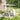 DIME GARDEN Marisol Elegant Dining Set with Umbrella Kit from DIME GARDEN