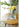 CHESTNUT COCOON Takamatsu Elegant Thermal Padding Coasters from CHESTNUT COCOON