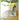 CHESTNUT COCOON Takamatsu Elegant Thermal Padding Coasters from CHESTNUT COCOON