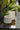 JUHAN Elowen Modern Extra Large Flower Pot Jewelry from JUHAN