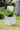 JUHAN Elowen Modern Extra Large Flower Pot Jewelry from JUHAN