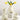 NICEMOON Noah Living Room Ceramic Jewelry from NICEMOON