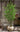Artificial Super Tall Apricot Plant from maija