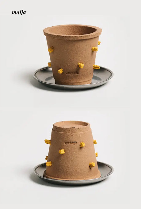 CIIREALS Root Tuber Ceramic Planter from CIIREALS