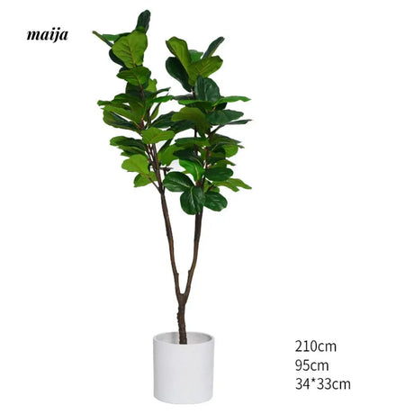 Artificial Fig Plant from Royal Forest