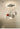 QXWD Space Airplane Ceiling Lamp Children's Room from QXWD