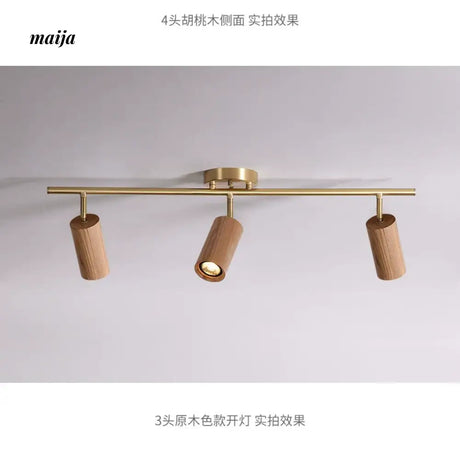 CH LIGHTING Mounted Ceiling and Wall Spot Light from CH LIGHTING