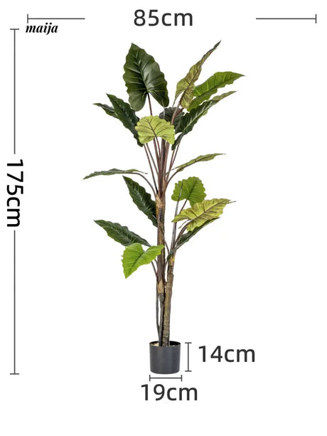 Artificial Rainbow Taro Plant from maija