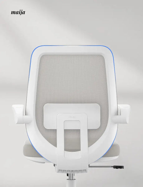 Alexa Ergonomic Padded Office Chair from Hbada