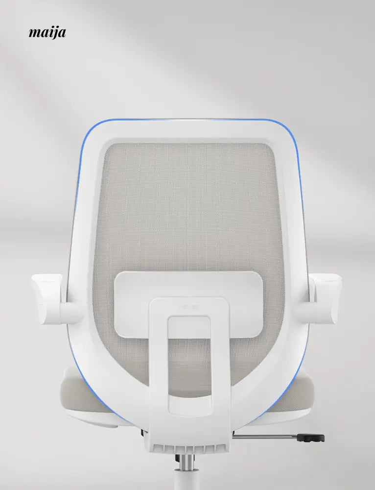 Alexa Ergonomic Padded Office Chair from Hbada