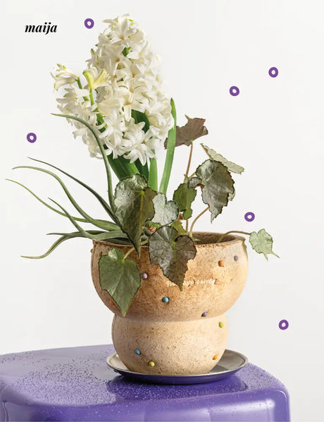 CIIREALS Fish Eye Candy Ceramic Planter from CIIREALS