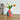 NICEMOON Theo Nordic Morandi Ceramic Vase from NICEMOON